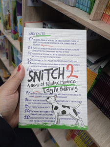 Snitch 2 A Year of Relative Madness Edyth Bulbring