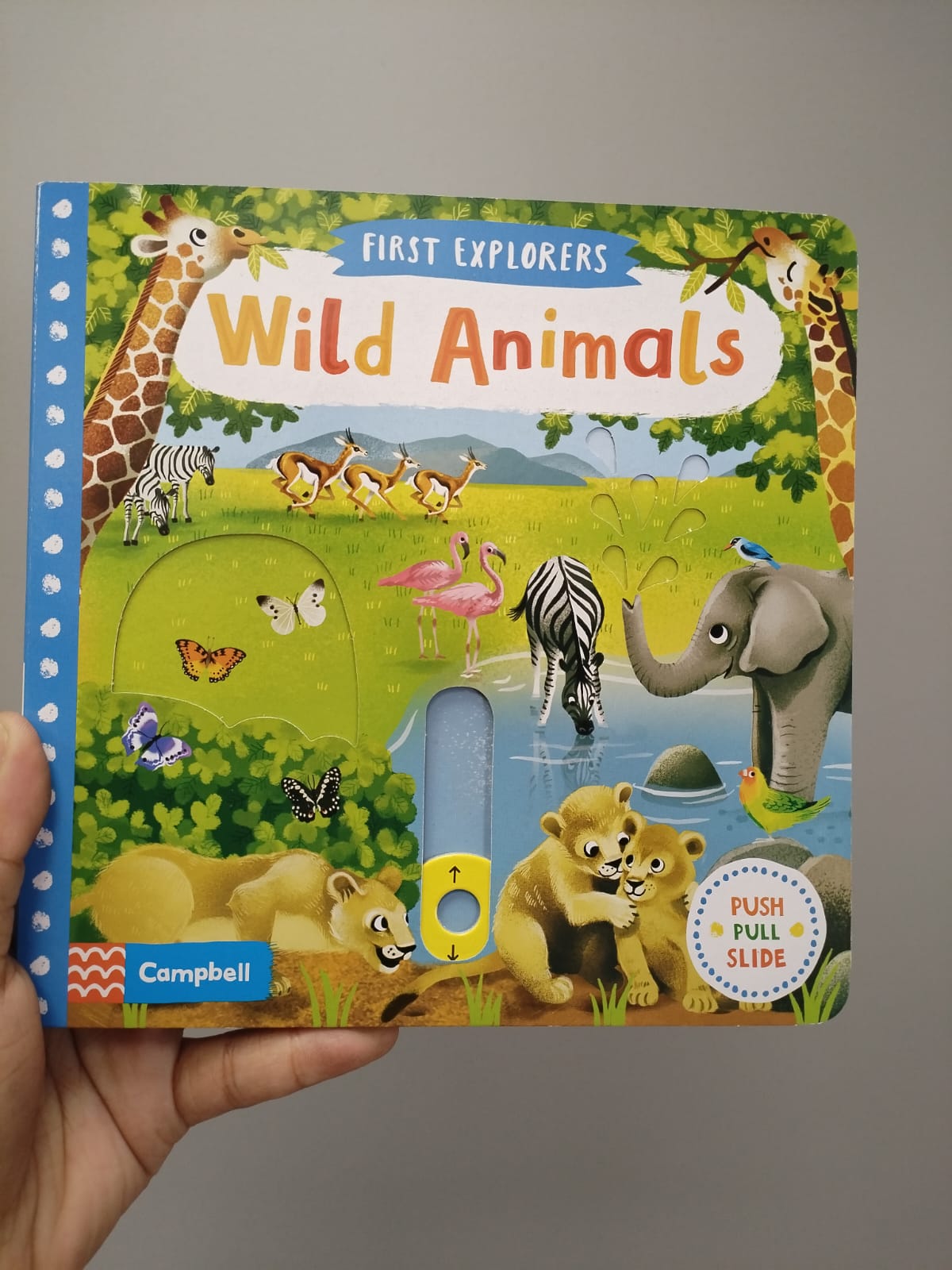 FIRST EXPLORERES: WILD ANIMALS